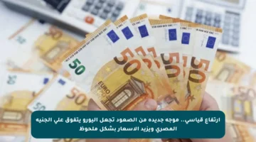 ارتفاع قياسي.. موجة جديدة من الصعود تجعل اليورو يتفوق على الجنيه المصري ويزيد الأسعار بشكل ملحوظ